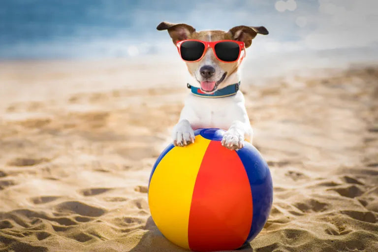 Verano