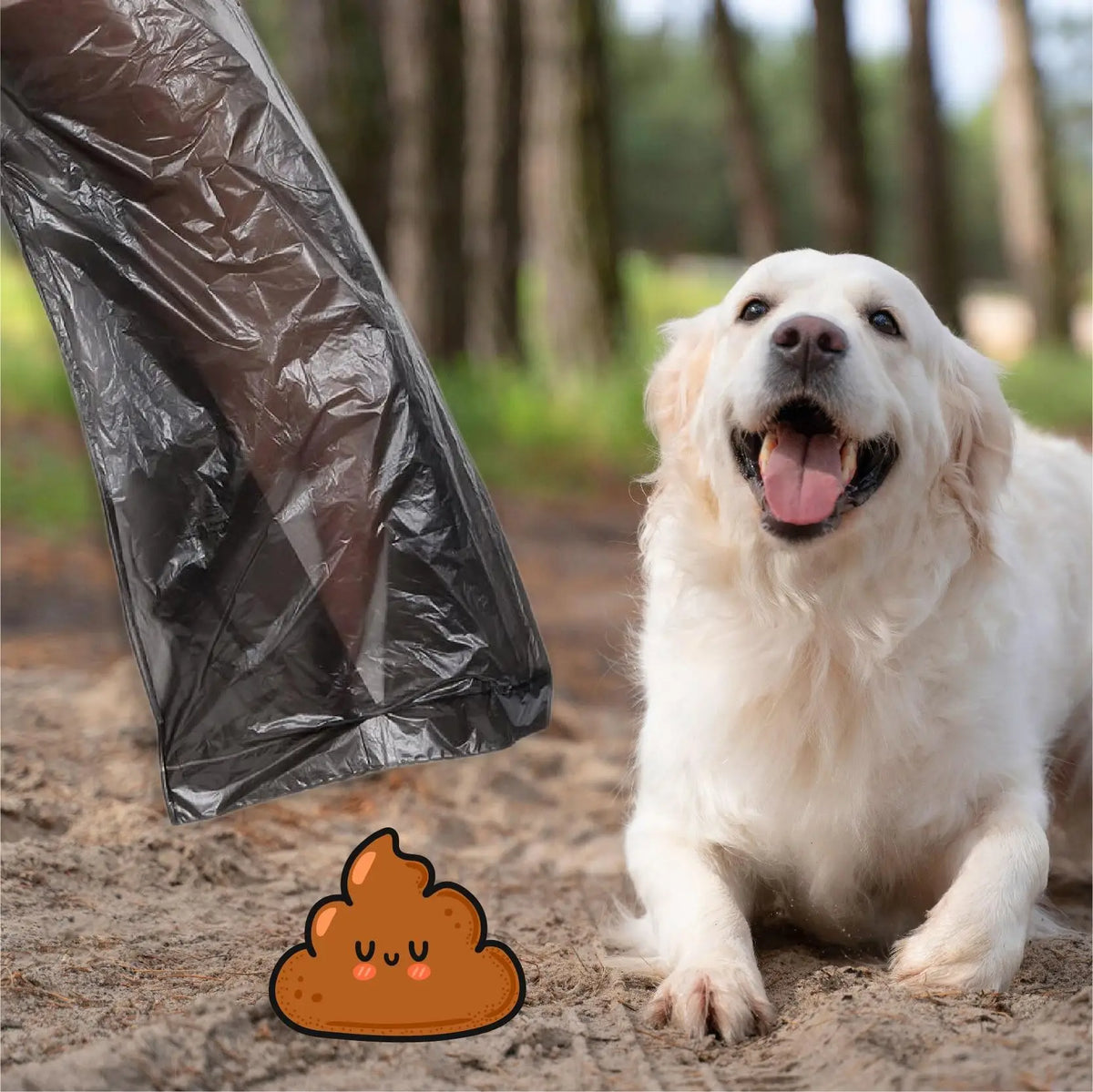 Bolsas Higiénicas para Excrementos de Perro | De 300 a 2400 Unidades