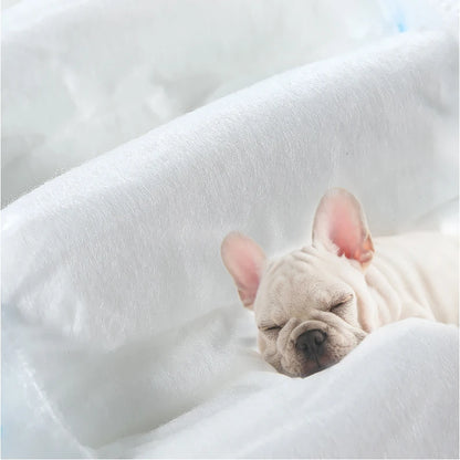 Pañales Higiénicos Desechables para Perro Macho | 4 Tallas