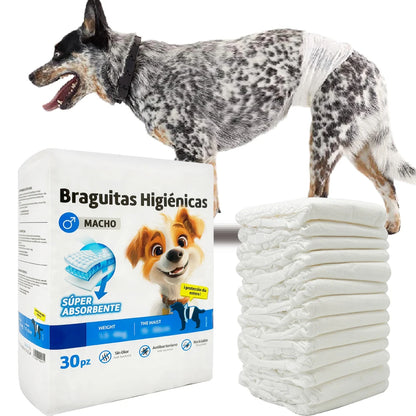 Pañales Higiénicos para Perro Macho | Pack de 30, 3 Tallas