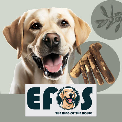 Mordedor de Madera de Olivo para Perros EFOS | Antisarro y Antiestrés
