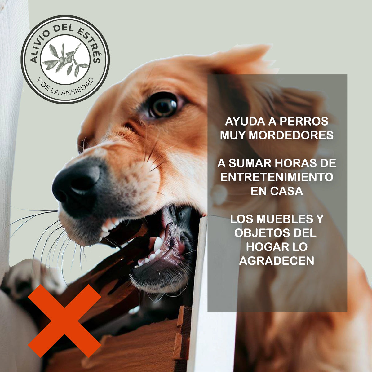 Mordedor de Madera de Olivo para Perros EFOS | Antisarro y Antiestrés