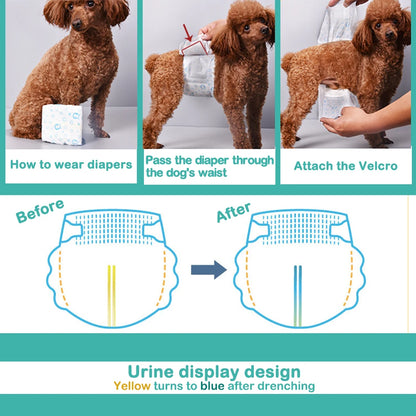 Pañales Higiénicos Desechables para Perro Macho | 4 Tallas