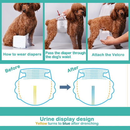 Pañales Higiénicos para Perro Macho | Pack de 30, 3 Tallas