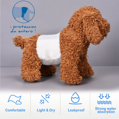 Pañales Higiénicos para Perro Macho | Pack de 30, 3 Tallas