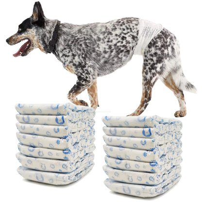 Pañales Higiénicos Desechables para Perro Macho | 4 Tallas