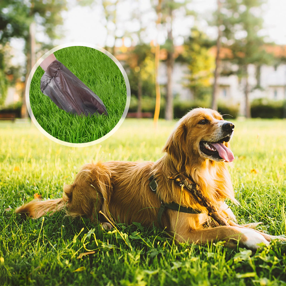 Bolsas Higiénicas Nobleza para Perros | 1080 Unidades Extra Resistentes
