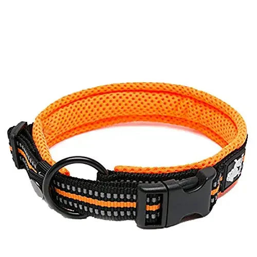 Collar Truelove de Nylon Acolchado Reflectante TLC5011