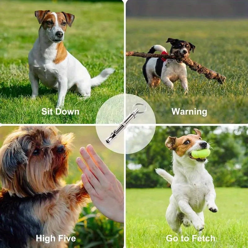 Silbato para Perros Antiladridos | Tono Ajustable con Llavero