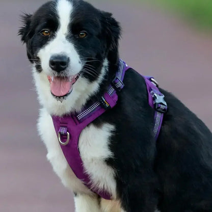 Arnés Truelove Ultraligero Impermeable | Resistente para Perros