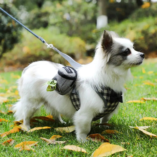 Bolsa de Premios para Adiestramiento de Perros | Portátil con Cinturón