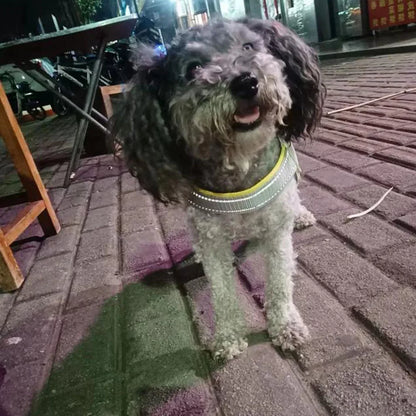 Arnés Reflectante Tipo Chaleco para Perros (2 uds) | Antitirones