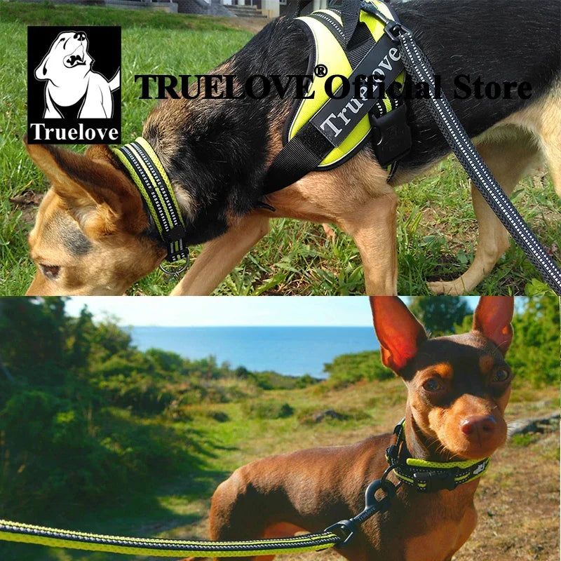 Collar Truelove de Nylon Acolchado Reflectante TLC5011