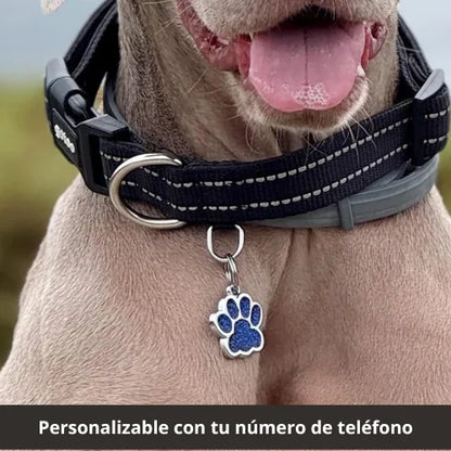 Chapa Grabada Anti-pérdida para Collar de Perro | Colgante Identificativo